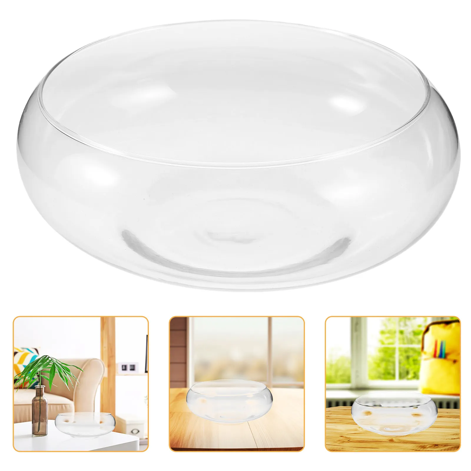 Glass Hydroponic Planter Bowl for Succulents Money Plants Daffodils Transparent Root Observation Decorative Aquarium Fish Tank