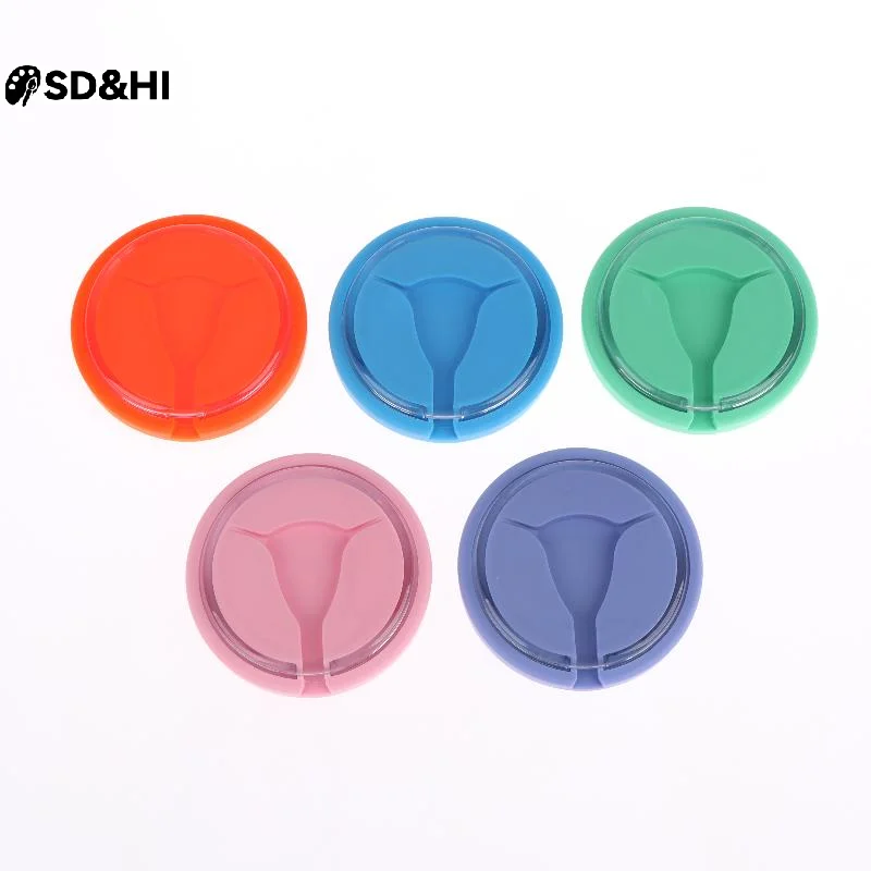 IUD Training Model Y Shape Inside Female Intrauterine Contraceptive Device For Teaching Clinic Display IUD Intrauterine Model