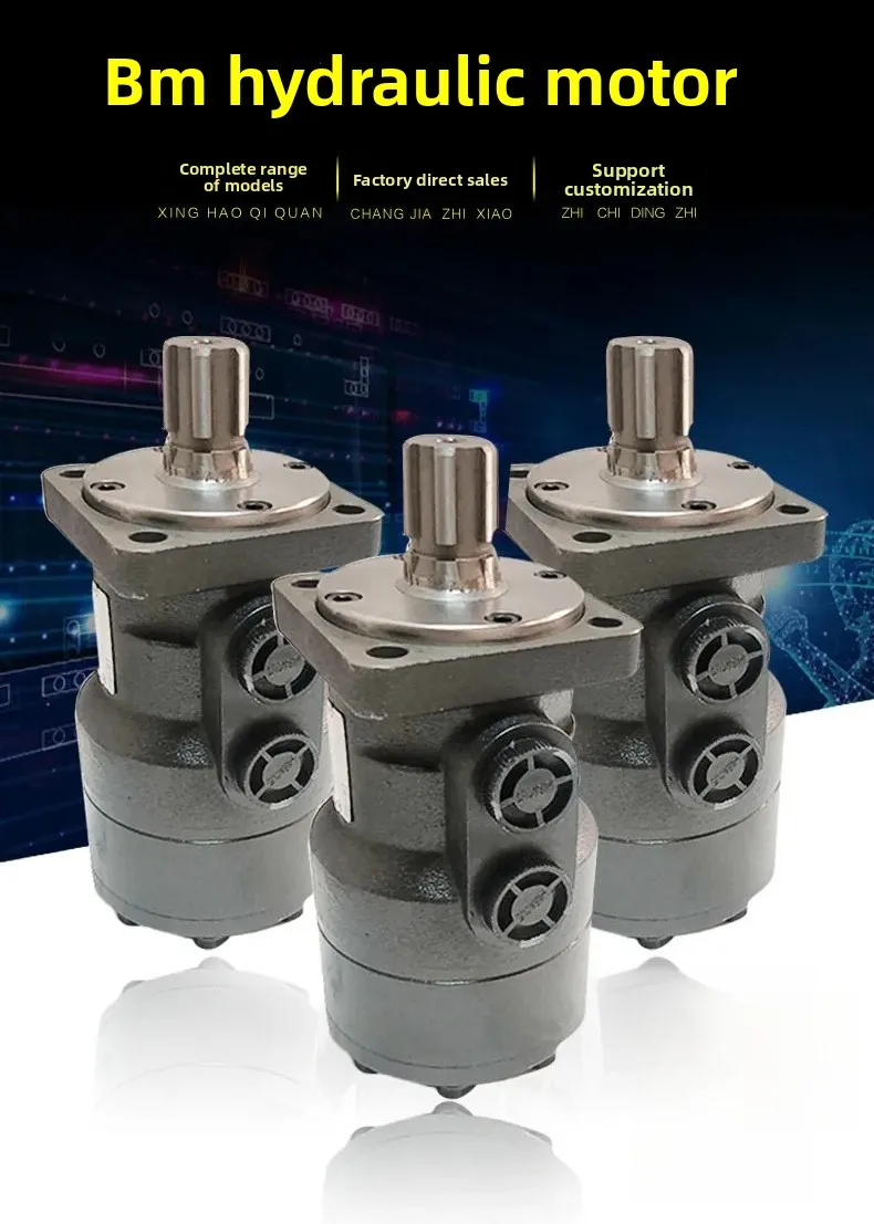 BMS80 100 125 160 200 250 315 400 475 Cycloid Hydraulic Motor Model Full
