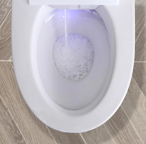 Automatic Easy Cleaning With Heating Function Ceramic Smart Toilet Floor mounted