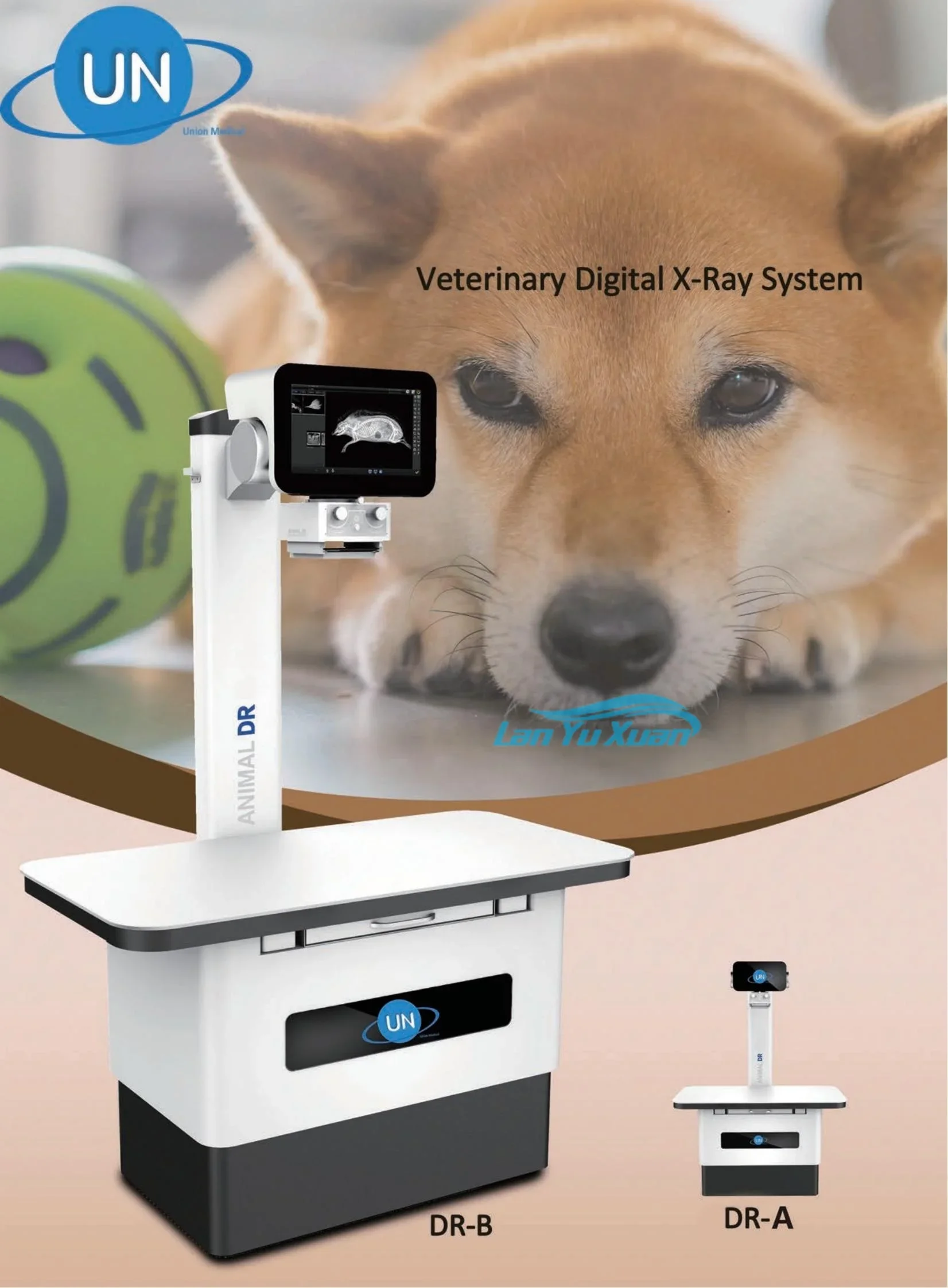 Instrumento veterinário sistema de raios X digital veterinário máquina de raios X para animais de estimação