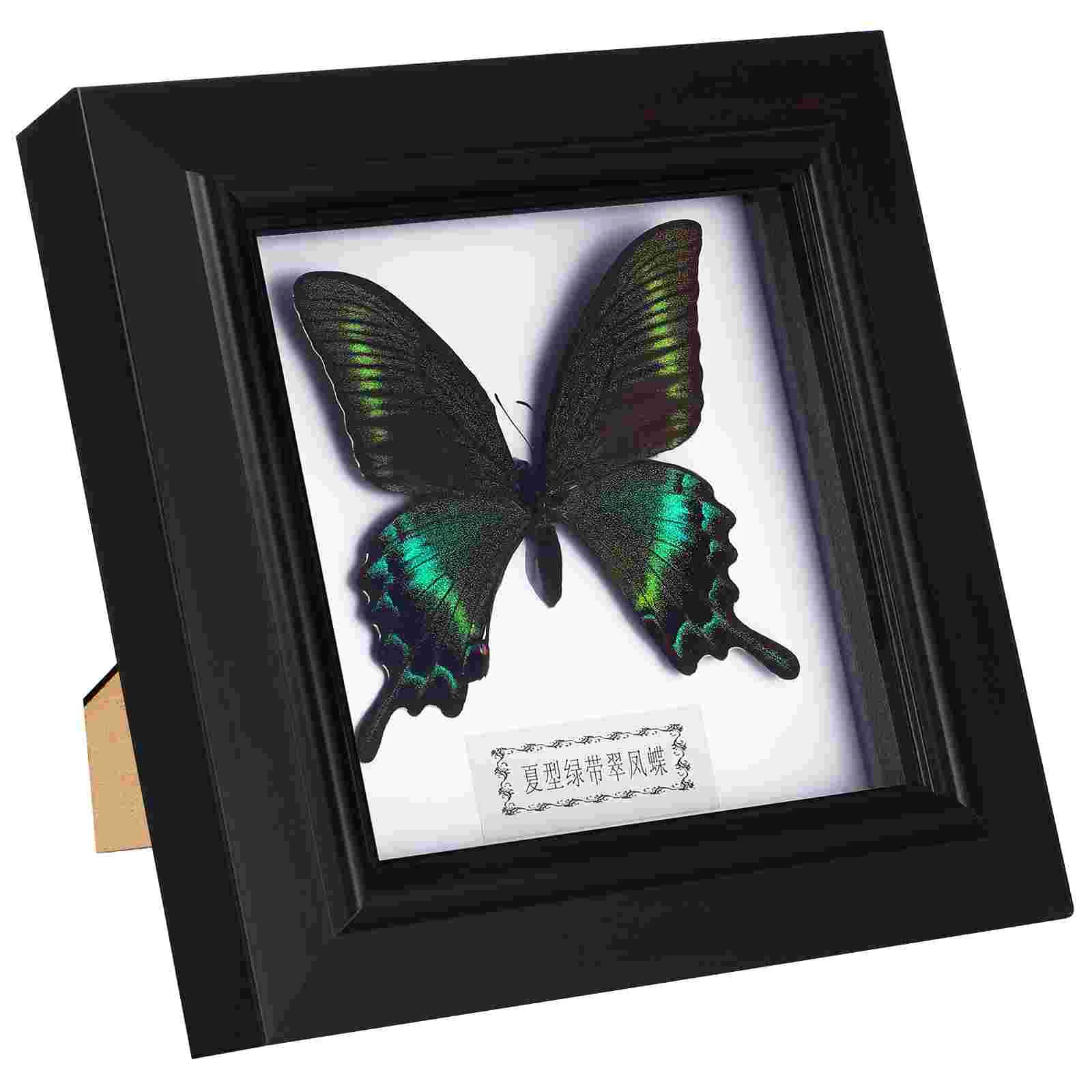 

Black Frames Photo Display Holder Wall-mounted Specimen Pendant Office Acrylic Artwork Decor Home