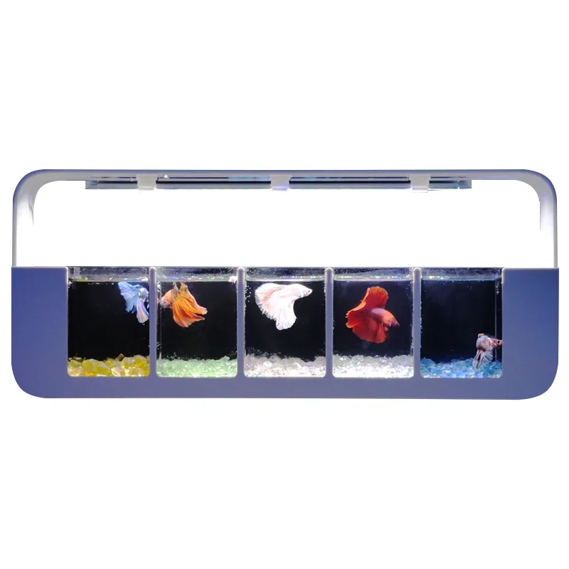 Combination Rowing Tank Multi grid Moonlight Jellyfish Douyu Integrated Desktop Creative Home Ecological Tank