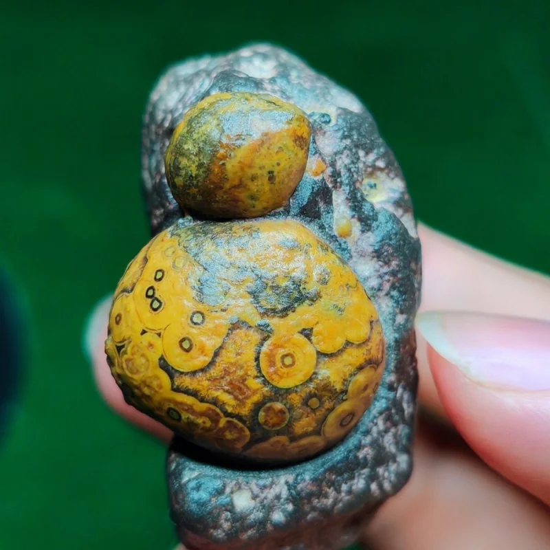 

High Quality Natural Eye Stones From Siziwang Banner Mineral Specimen Office desk Decoration