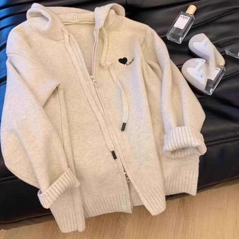 Hooded Sweater Women Autumn Winter Embroidered Zipper Cardigan Knitwear 2024 New Korean Lazy Style Simple Ladies Knitted Tops