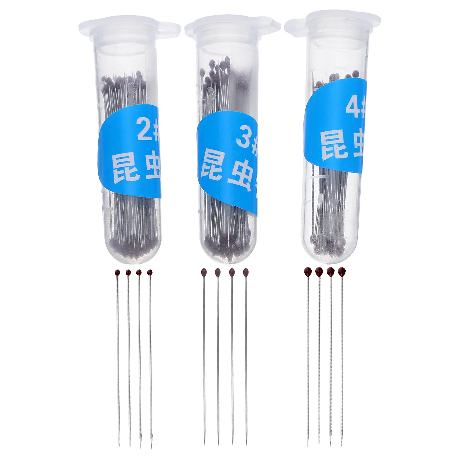 

300Pcs Insect Specimen Pins Stainless Steel Durable Entomology Display Butterfly Collection Needles for School Lab Educational