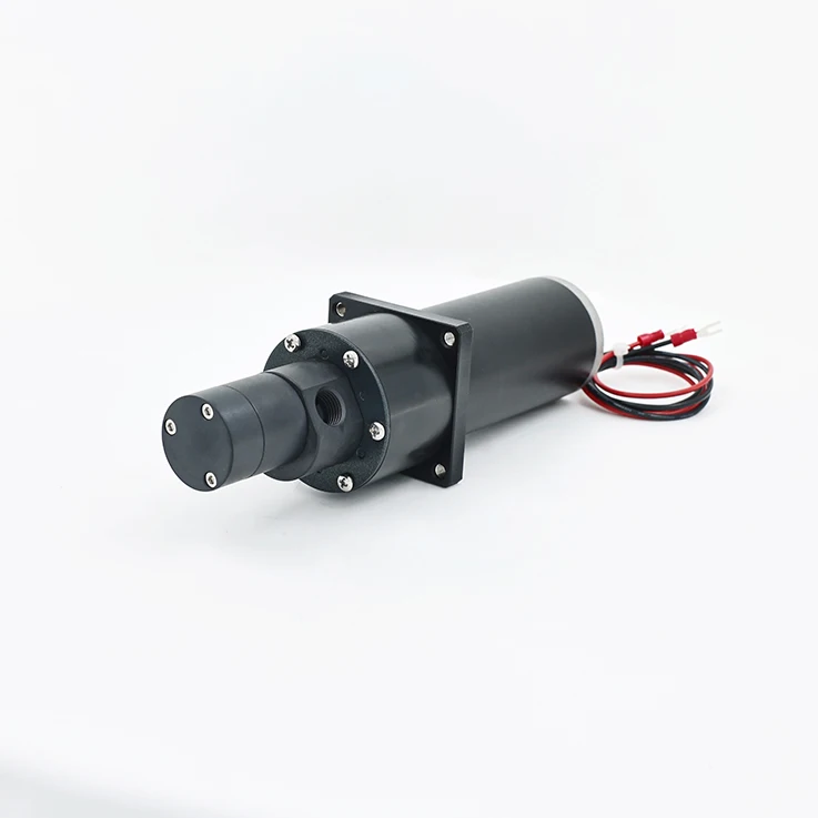 

PPS Центробежный кислотный водяной насос Периферийный магнит Химический насос Шестеренчатый насос с магнитным приводом для кислотопередачи