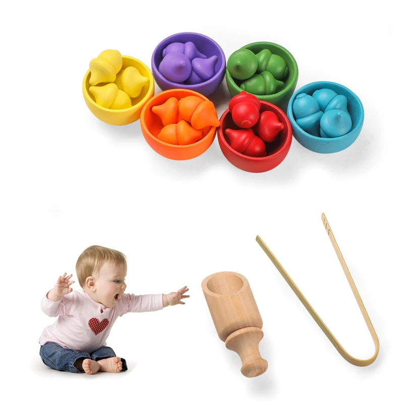 Set di smistamento di ghiande apprendimento smistamento dei colori abbinamento migliora la capacità di manipolazione cognitiva giocattolo ispirato a Montessori sei colori
