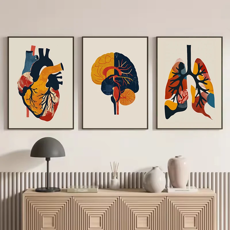Colorful Human Anatomy Art, Medical Science Brain Liver Heart Biology Poster Canvas Painting Wall Pictures Home Interior Decor