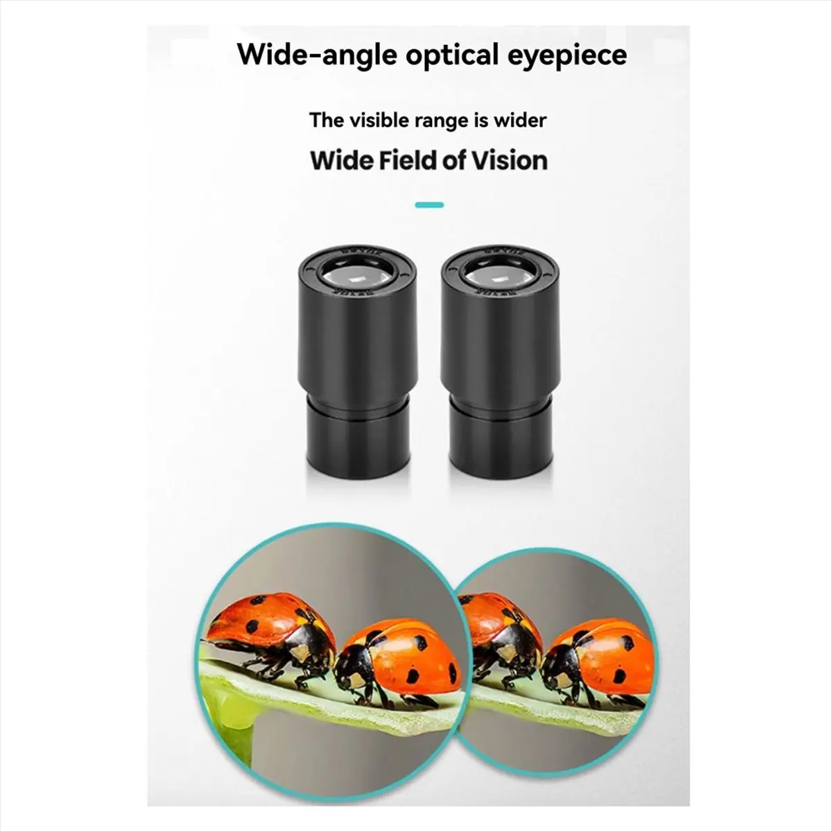 goodDT ES1057 Binocular Microscope Kit 30x Magnification Biological Microscope Scientific Experiment Anatomy