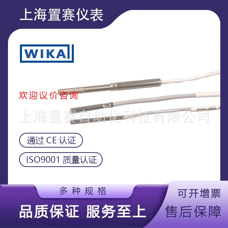 2025 Alemania Wika wika cable termómetro de resistencia térmica TR40TR41 servo inversor controlador de potencia detección