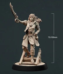 1/32 56mm 1/24 75mm 1/18 100mm Resin Model Kits Pirate Girl Figure Unpainted No Color RW-903