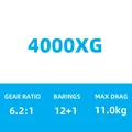 4000XG