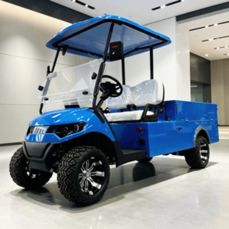 60V Electric Golf Cart 5KW Motor 25 MPH Top Speed 44 Miles Range,Free Shipping Rear Cargo Box 12-Inch Off-Road Tires
