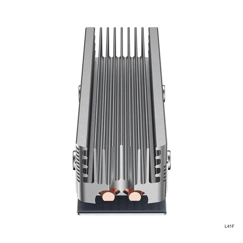Dissipateur thermique M.2 2280 SSD NVME 2280, radiateur à disque solide, refroidisseur 2 caloducs