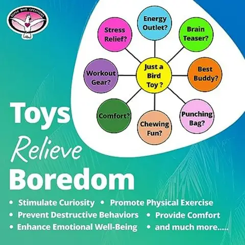 10 best sales पक्षियों के खिलौने - №7