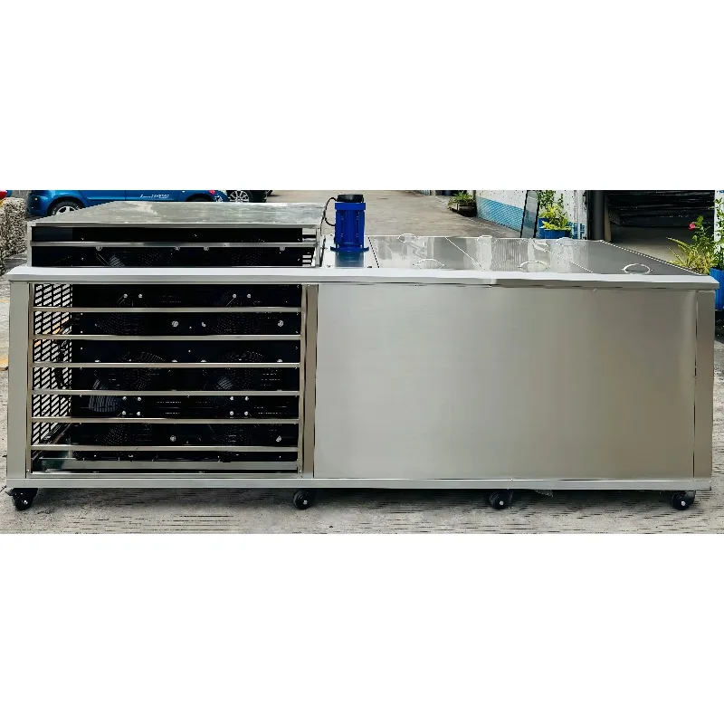 YG Specialized Manufacture Industrial Ice Block Making Machine at 1 Ton Capacity