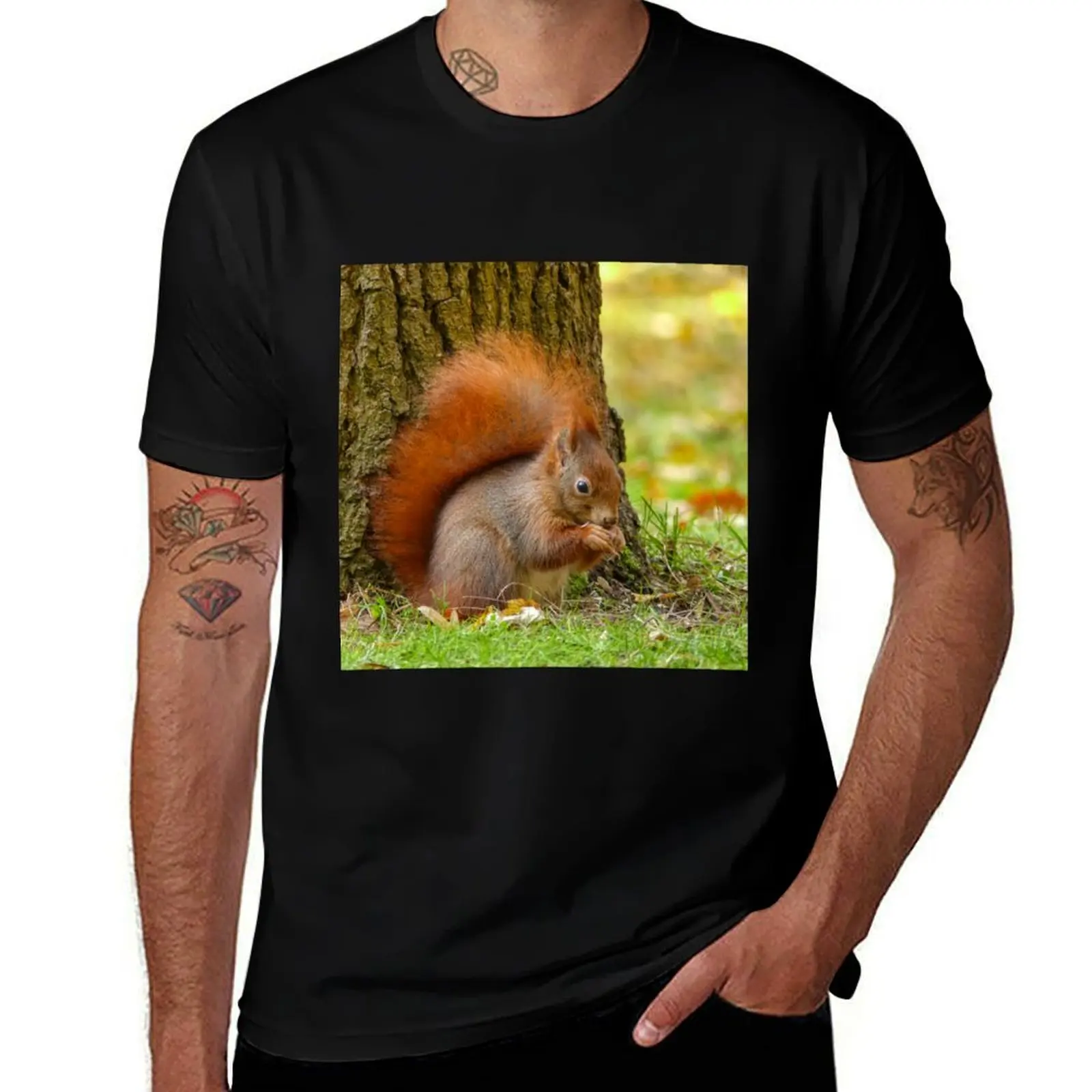 

Little eurasian red squirrel T-Shirt man t shirt cotton high quality black cotton t-shirt plain for man package T-Shirt