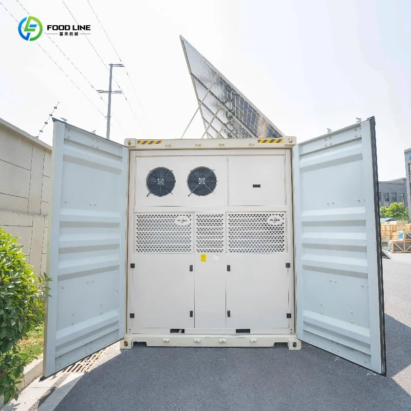 Customized Africa Focused Solar Cold Chain Solutions For Health And Food Sector