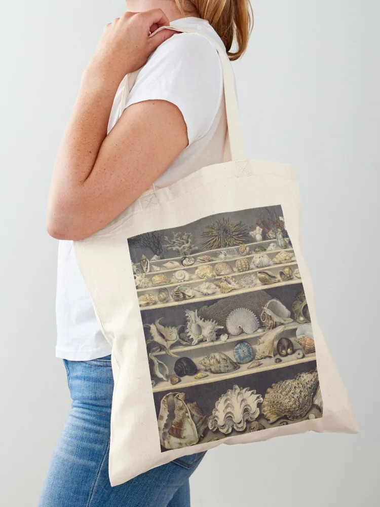 Alexandre Isidore Leroy De Barde - Choix De Coquillages Tote Bag the tote bag Cloth bag personalized tote shopping trolley