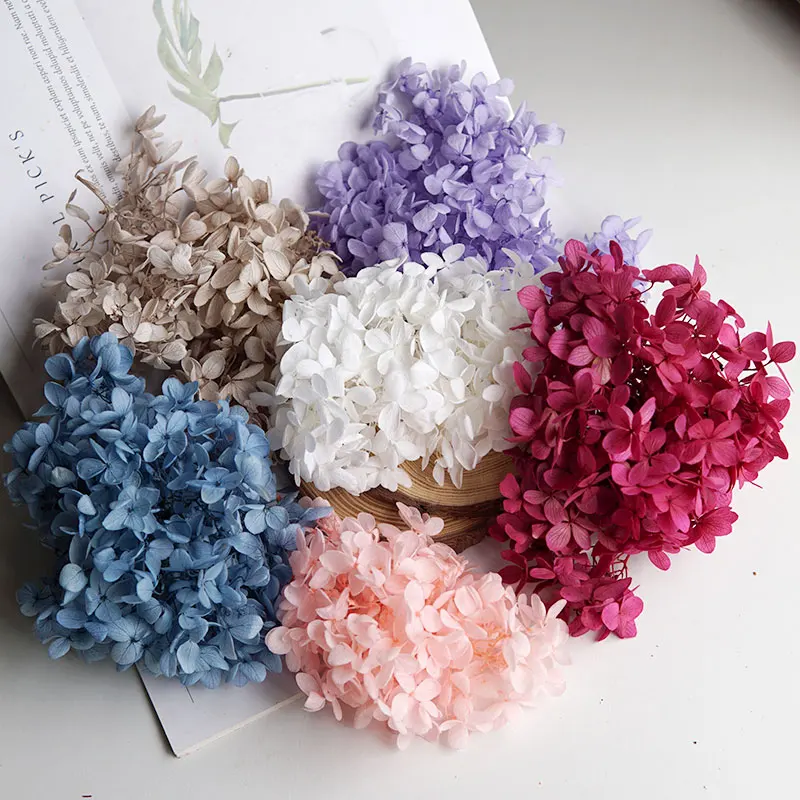 Feuilles d'hortensia ovales en bois véritable pour bouquet de mariage, artisanat DIY, résine, bougie, scrapbooking, décoration intérieure, feuillage s