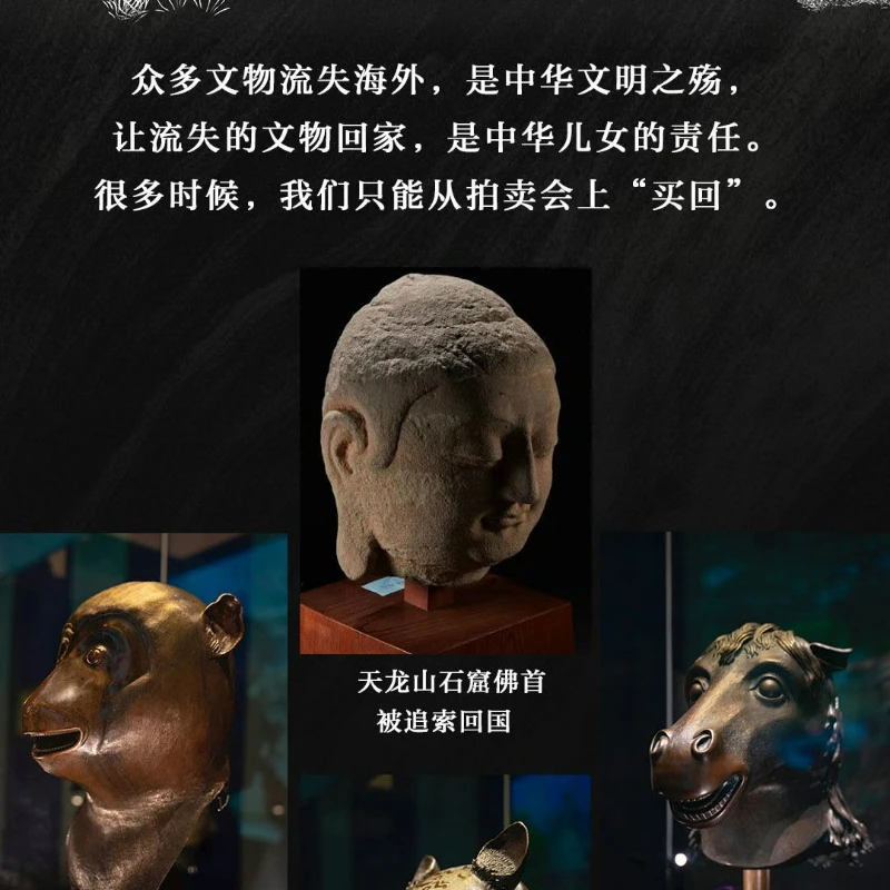 The Wandering Story of A National Treasure Reading Book Popular Science Book on Chinese National Treasures and Cultural Relics