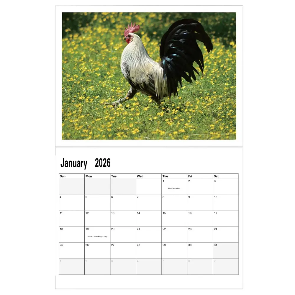 Divertente calendario 2026 Big Cocks, fotografia vibrante della fauna selvatica, calendario da parete da 12 mesi, decorazione per ufficio e casa