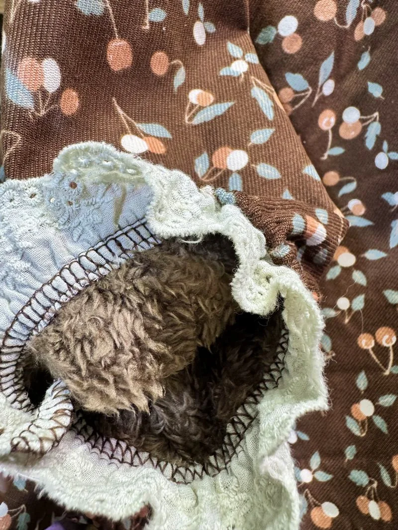 Camicetta di pizzo babydoll patchwork con ricamo in velluto a coste in pile femminile Camicetta invernale vintage Cottagecore Sweet Lolita Bohemian Hippie Top