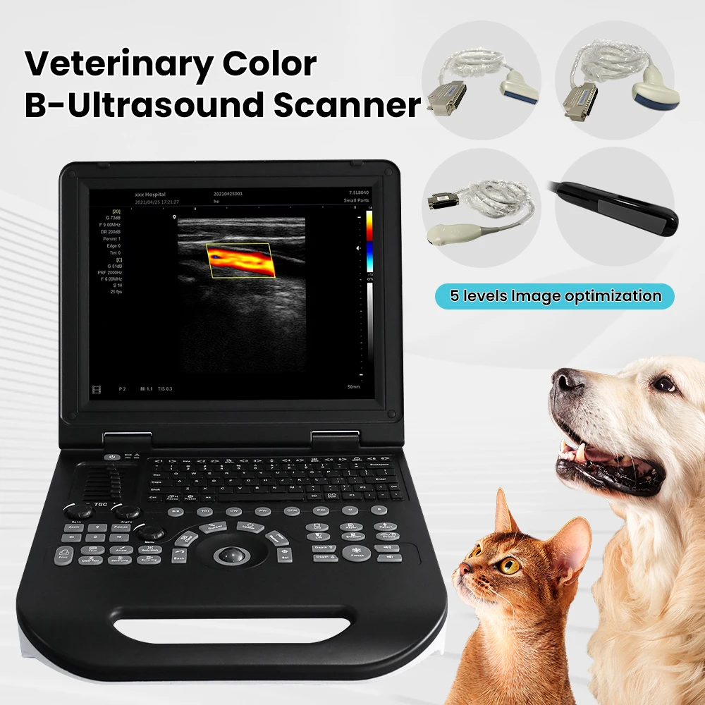 SC20 Vet Veterinary Color Doppler Digital B-Ultrasound Diagnostic System Pregnancy Scanner Health Screening Machine