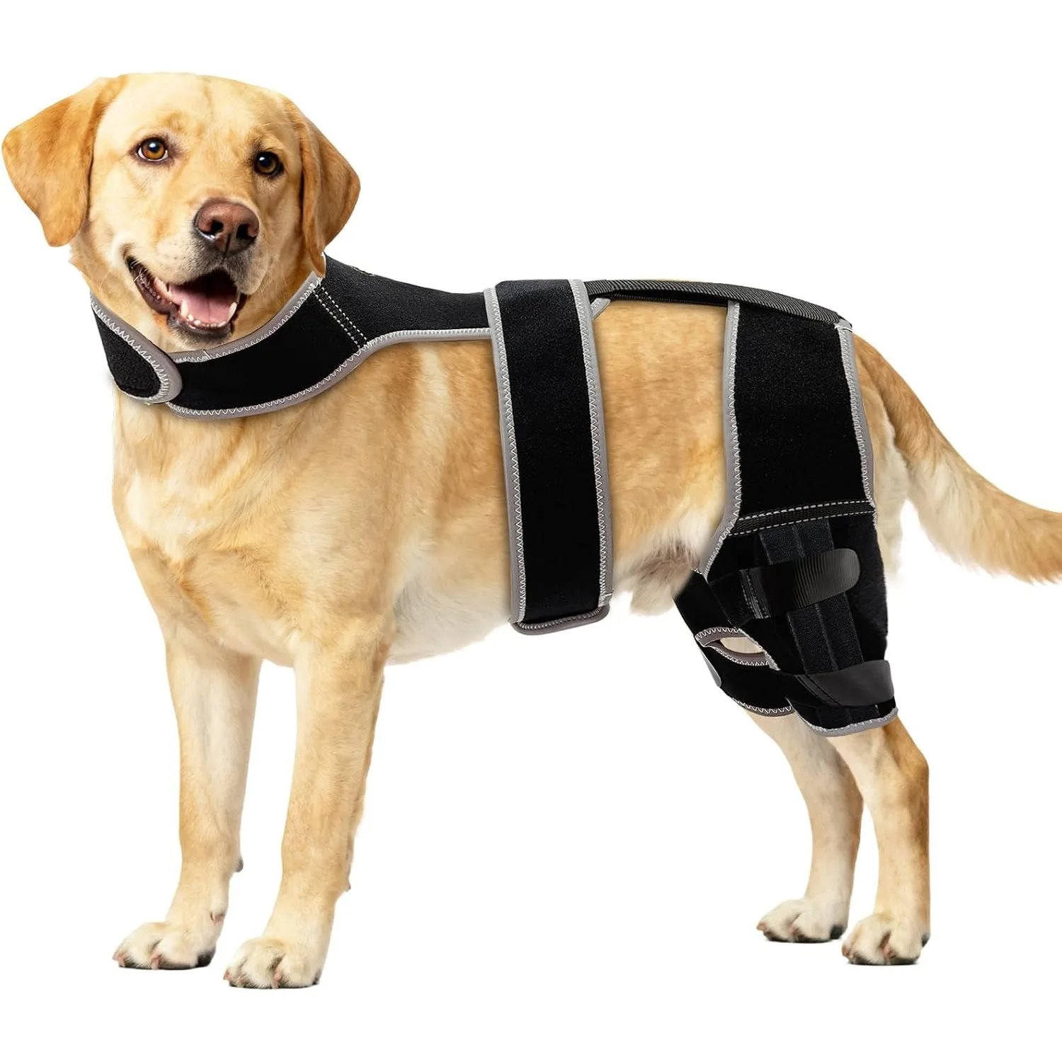 Adjustable Dog Brace for Acl Tear Back Leg - Double Leg Orthopedic Support with 4 Metal Stabilizers, Vest Design for ACL/CCL