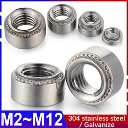 304 Stainless Steel / Galvanized Carbon Steel Riveted Nut Flower Tooth Clamp Nut Panel Beating Punch CLS SP-M3M2.5M4M5M6M8M10M12