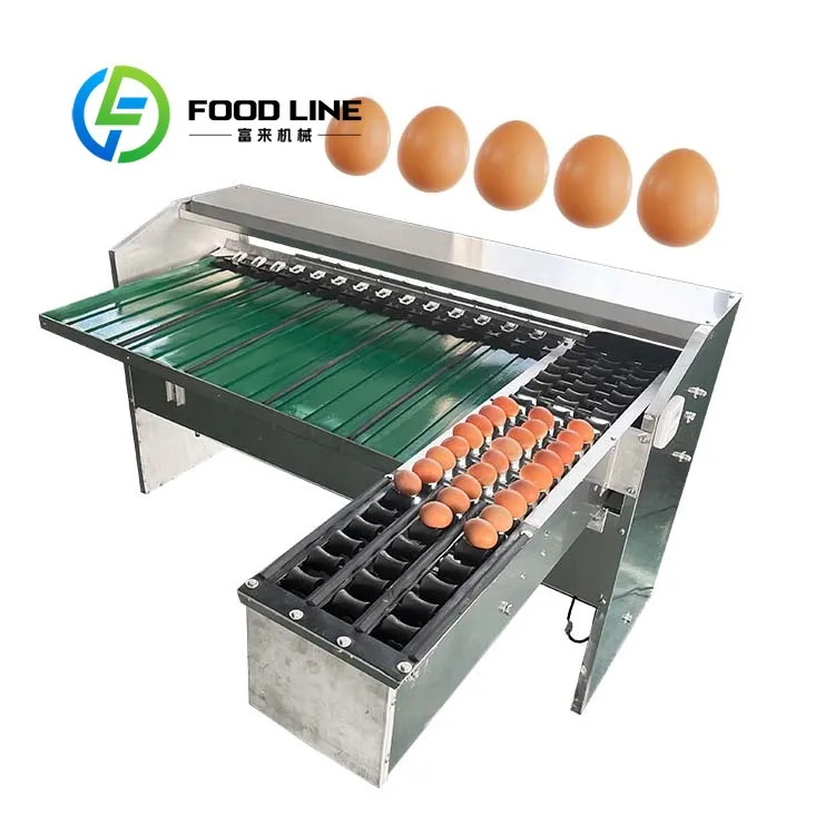 Egg Grading Machine Large Capacity Raw Egg Hopper Acts As Automatic Egg Grader Reducing Frequent Raw Material Refill Intervals