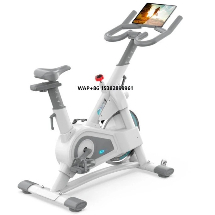 

Professional Indoor Cycling Exercise Bike with Silent Stainless Steel Brushless Motor Limited Discount for Spinning Bikes
