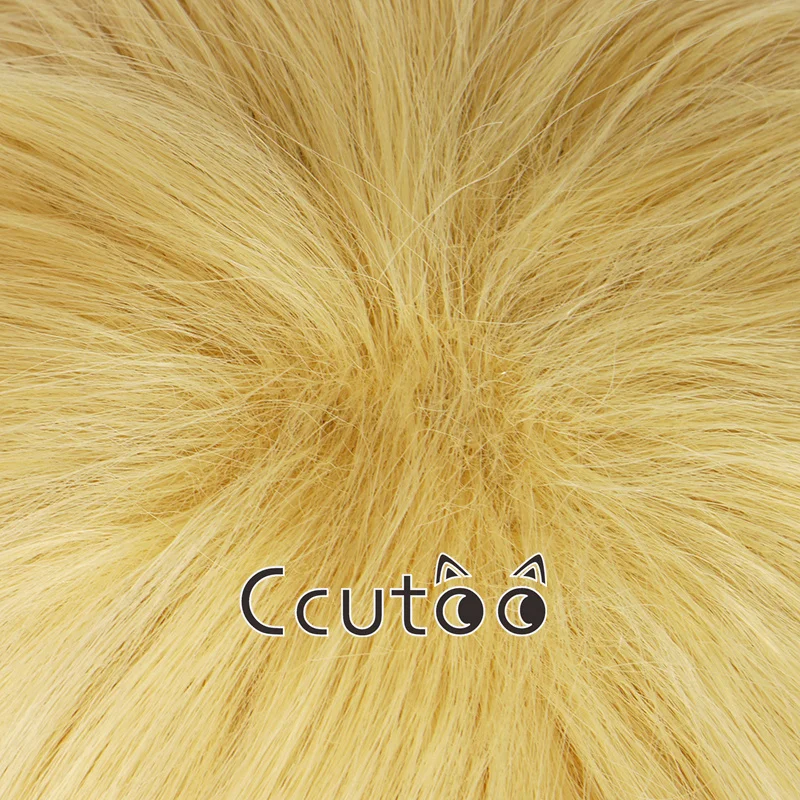 Rin/len kurze blonde hitze beständige synthetische Haare Cosplay Perücke Kopf bedeckung Perücke Kappe – Detail 11