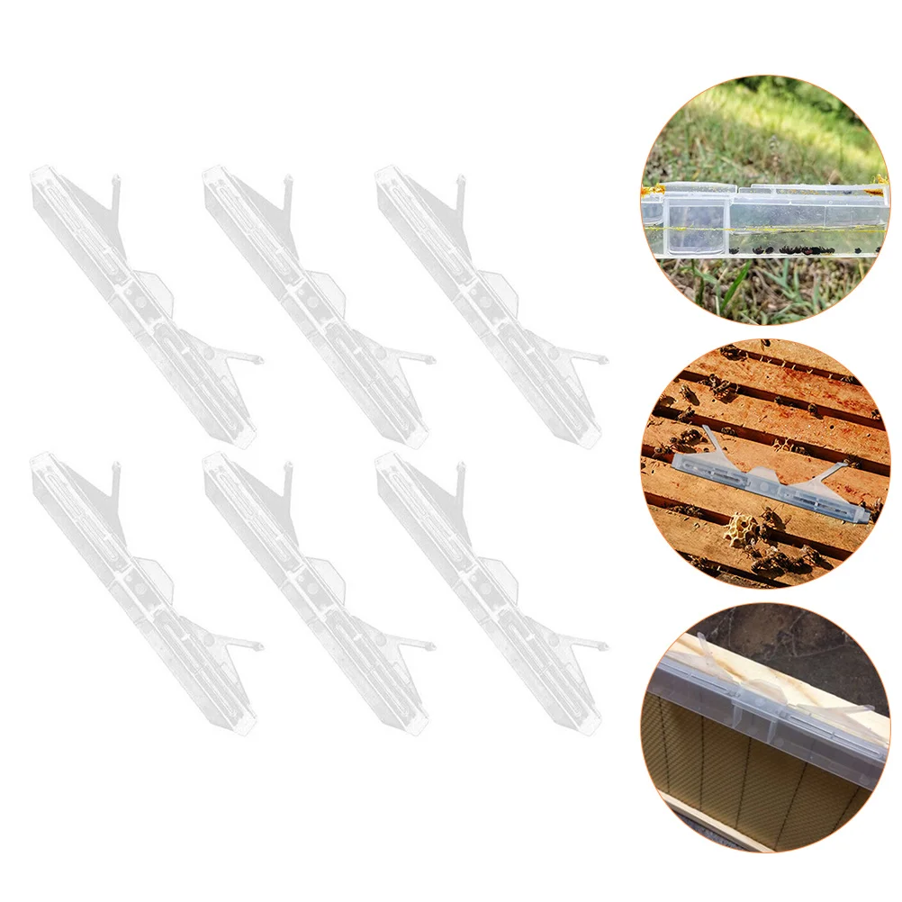 

6pcs Plastic For Beekeeping Tools Hive Beetle Traps Reusable Beehive Accessories Small Bee Trap Clear Baitable