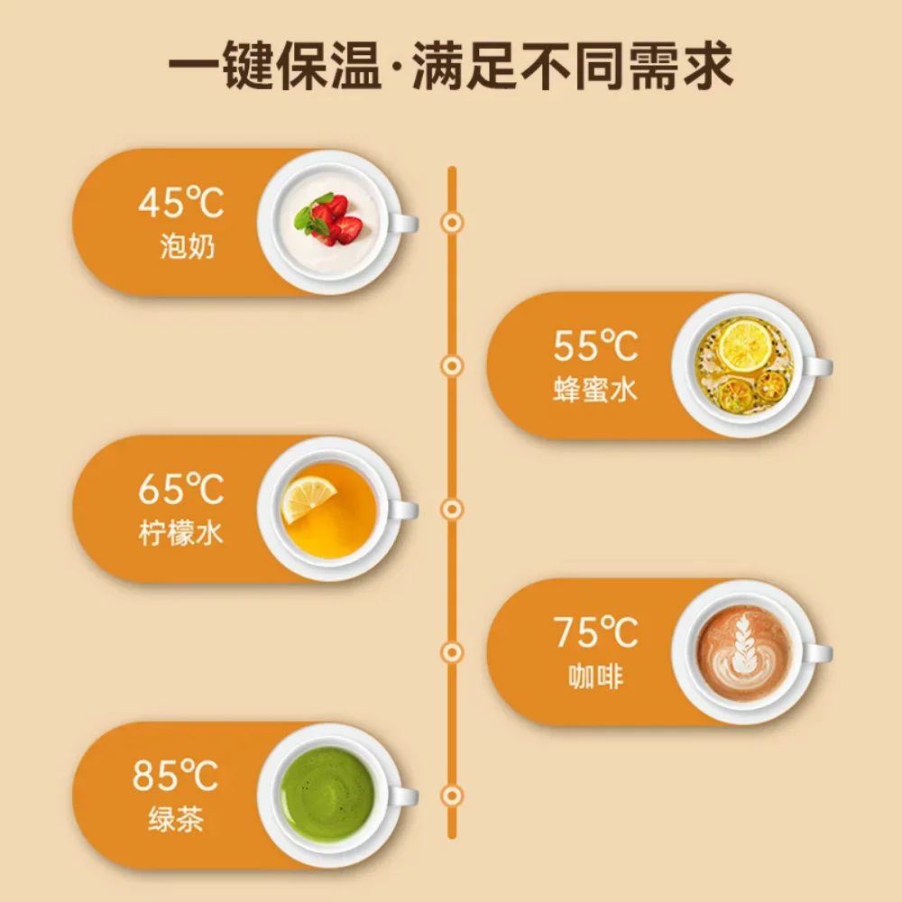 휴대용 전기 냄비 건강 죽, 자동 전기 밥솥, 스프레드 음식, 수프 요리, 소형 가전, 220V EU