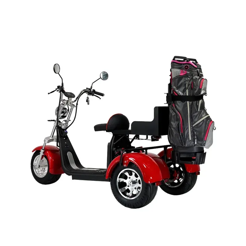

ZAIQU australia market High-peormance Sightseeing Car Cart Electric three wheels Mobility Scooter with Hollow Body