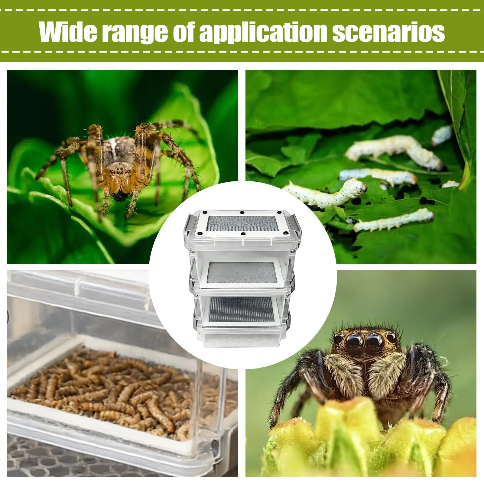 Picture 6: 3-Layer Silkworm Feeder Bin Corn Worm Breeder Box Mealworm Breeding Kit for Pet Parents Animal Lovers Keepers Breeders Hobbyists