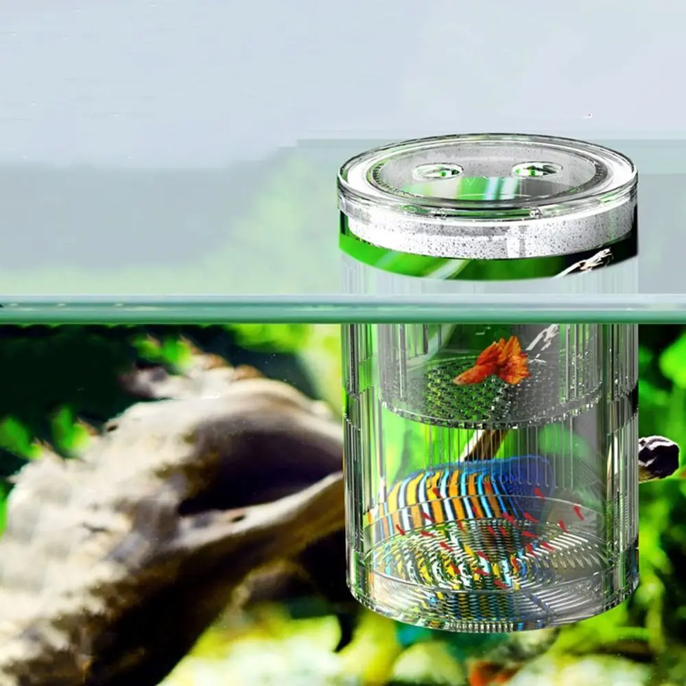 Acrylic Floating Fish Breeding Isolation Box Floating Large Capacity Fish Isolation Box with Suction Cups Transparent