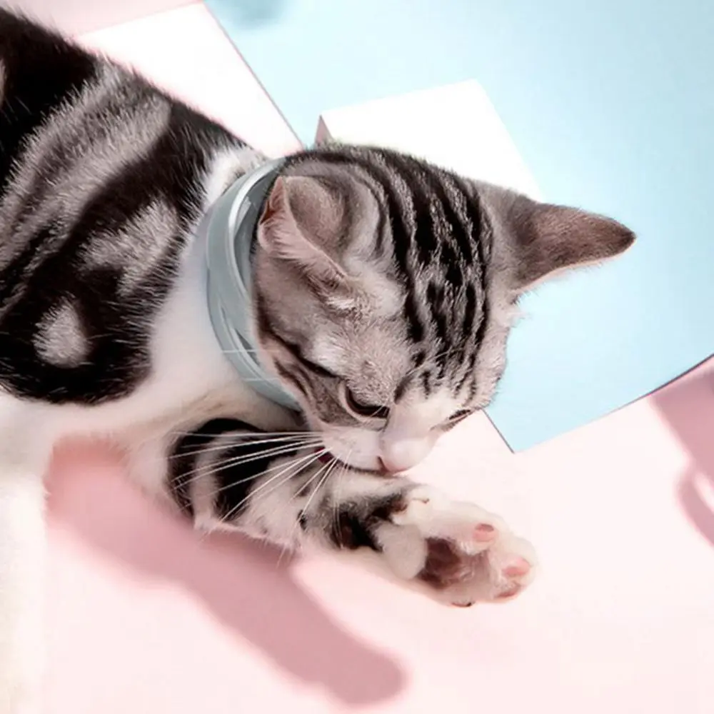 Cute Adjustable Anti Flea for Cat Dog Anti Mosquitoes Anti Ticks Dog Cat Collar Flea Collar Dog Flea Repeller Puppy Collar
