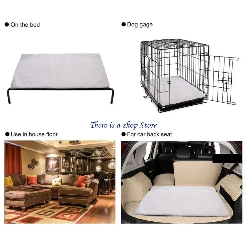 D0AD Warming Cats B…