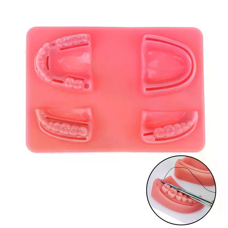 Dental Gum Skin Suture Surgical Practice Medical Skin Suture Pad Lab Model Silicone Periodontitis Suture Model Training Kit