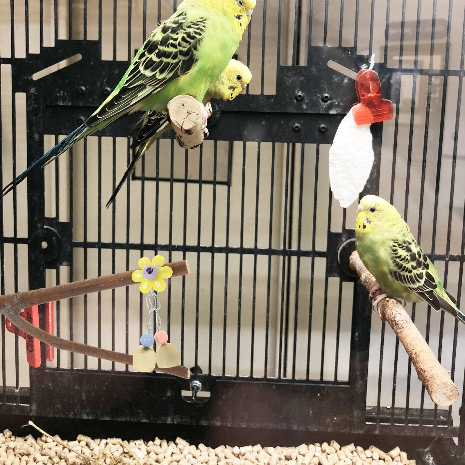 Natural Wood Bird Perch Stand for Parrots Cockatiels Macaws Safe Chew-Resistant Foot Exercise Resting Station Cage