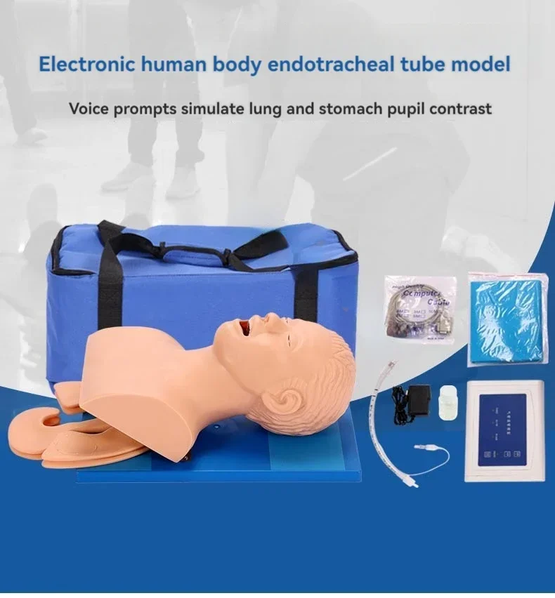 Intubation Manikin Study Teaching Model Adult Airway Emergency Medical Nursing Training Model