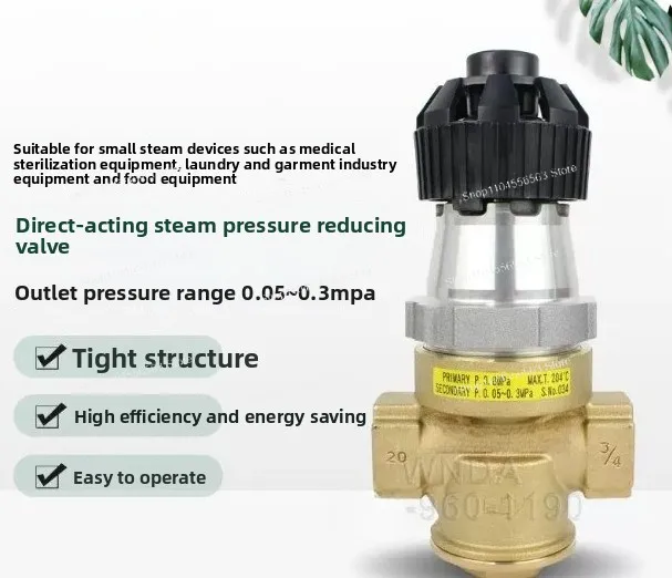 RE1 is a direct pressure reducing valve for steam.