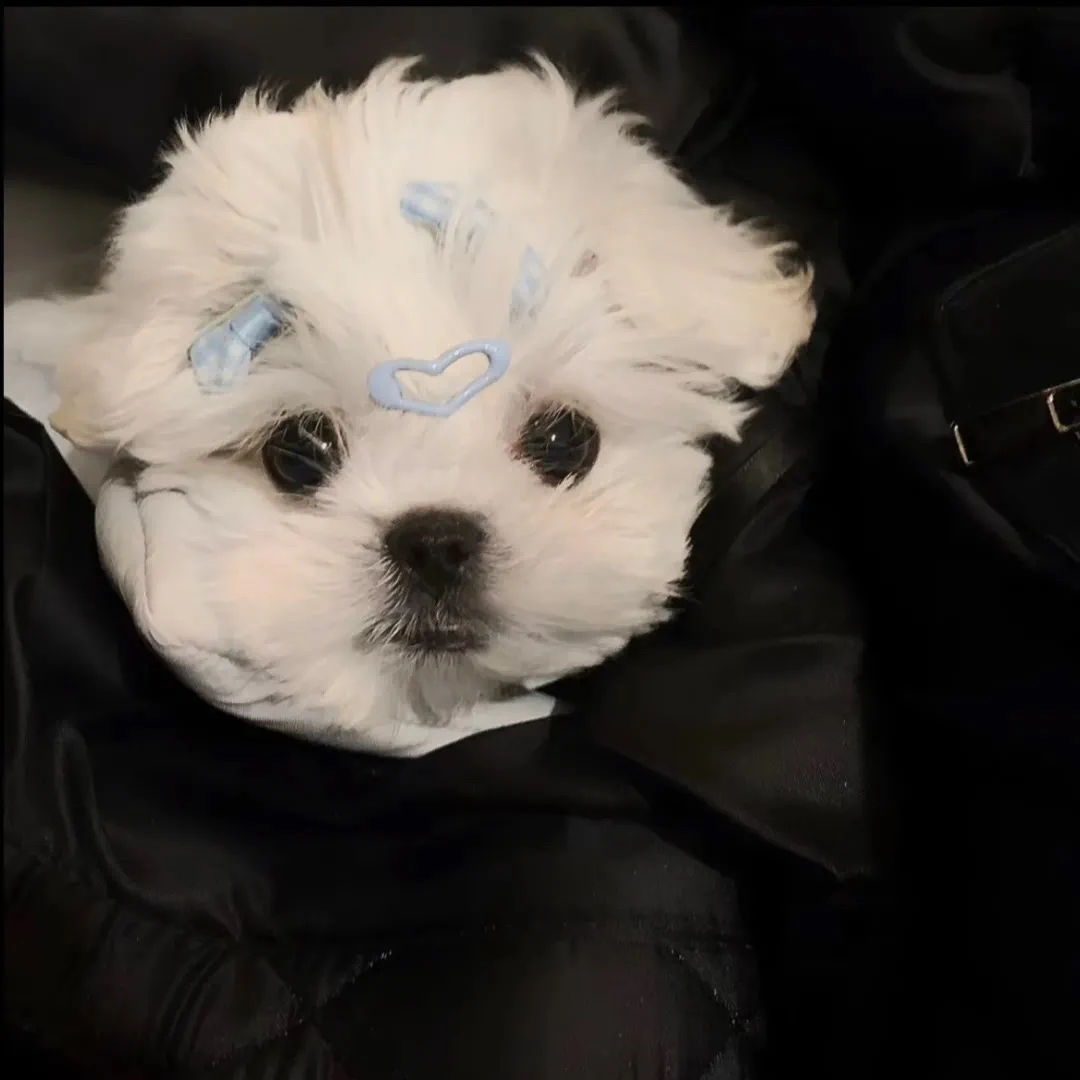 Metal 48P Spur Gear Main Gear 45T 50T 55T for 1/16 Trxs Summit E-Revo Slash RC Car Upgrade Parts Accessories