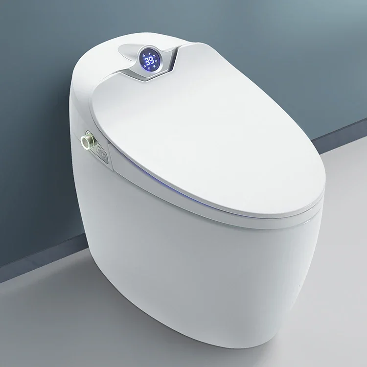 Hot Sale Luxury Wc Bathroom Toilet Bowl One Piece Bidet Smart Toilet for Hotel