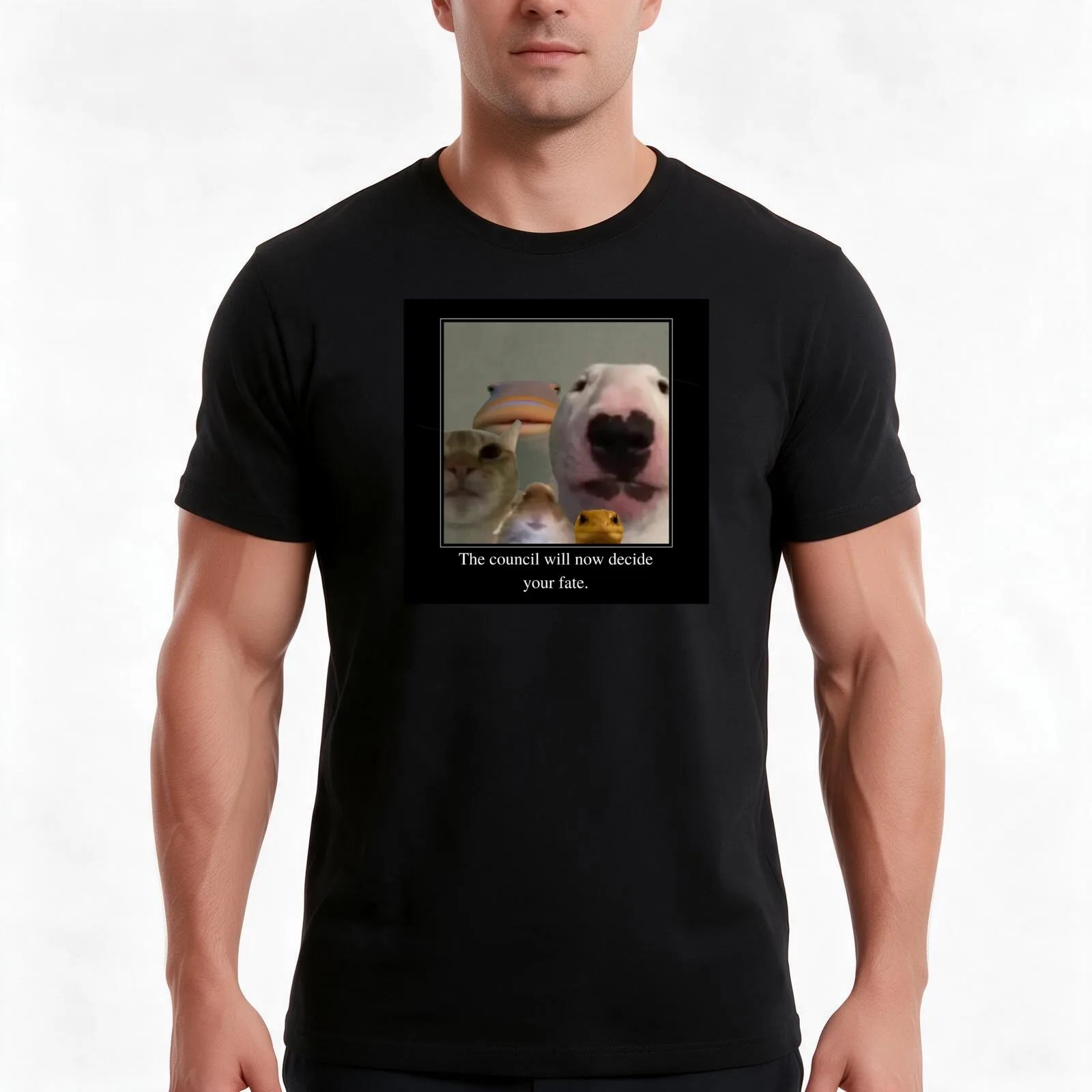 the council will now decide your fate T-Shirt, Summer Casual Cotton Tee, Oversized Streetwear Tops, Vintage Graphic Print