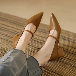 Damskie szpiczaste buty na średnim obcasie buty Mary Jane kobiece jesienne Retro płytkie buty sukienka damskie 2024 moda eleganckie czółenka na kwadratowym obcasie