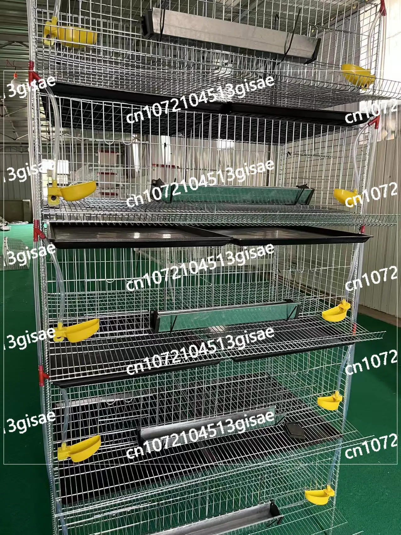 

Quail Partridge Cage with 25cm Height and Large Space Vertical Automatic Manure Cleaning Quail Egg Cage